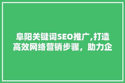 阜阳关键词SEO推广,打造高效网络营销步骤，助力企业腾飞
