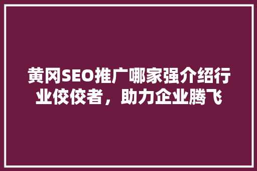 黄冈SEO推广哪家强介绍行业佼佼者，助力企业腾飞