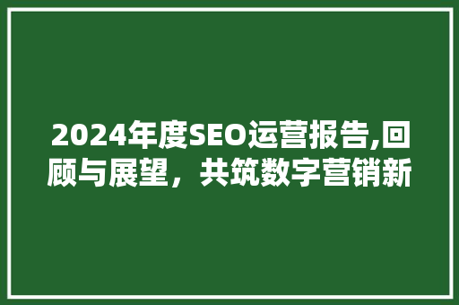 2024年度SEO运营报告,回顾与展望，共筑数字营销新篇章