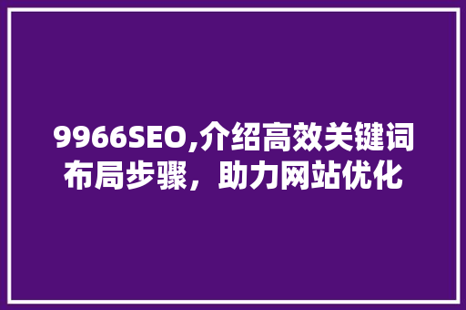 9966SEO,介绍高效关键词布局步骤，助力网站优化  第1张