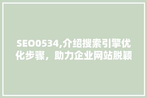 SEO0534,介绍搜索引擎优化步骤，助力企业网站脱颖而出