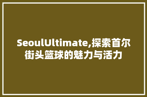 SeoulUltimate,探索首尔街头篮球的魅力与活力