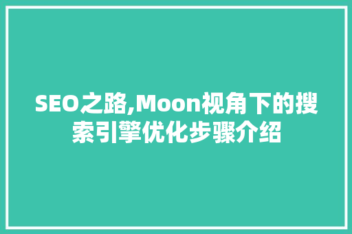 SEO之路,Moon视角下的搜索引擎优化步骤介绍