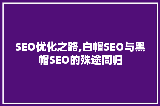 SEO优化之路,白帽SEO与黑帽SEO的殊途同归