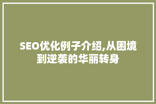 SEO优化例子介绍,从困境到逆袭的华丽转身