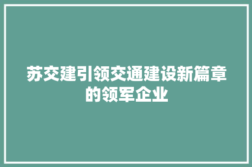 苏交建引领交通建设新篇章的领军企业