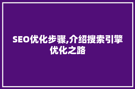 SEO优化步骤,介绍搜索引擎优化之路