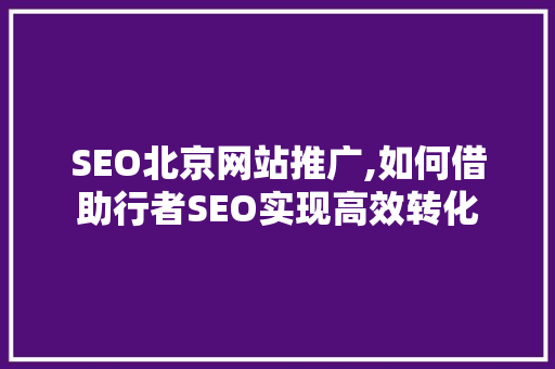SEO北京网站推广,如何借助行者SEO实现高效转化