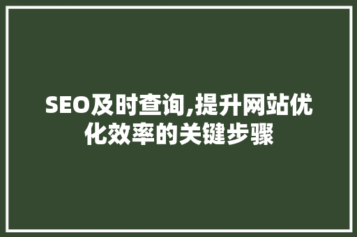 SEO及时查询,提升网站优化效率的关键步骤