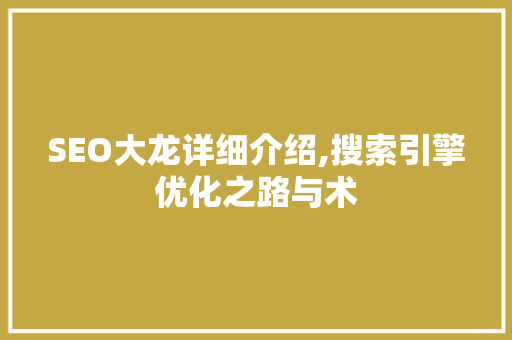 SEO大龙详细介绍,搜索引擎优化之路与术