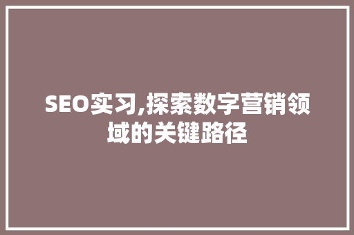 SEO实习,探索数字营销领域的关键路径
