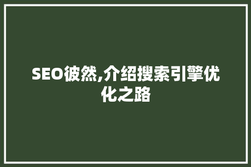 SEO彼然,介绍搜索引擎优化之路
