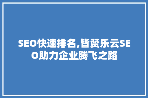SEO快速排名,皆赞乐云SEO助力企业腾飞之路