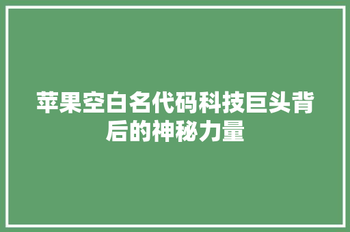 苹果空白名代码科技巨头背后的神秘力量
