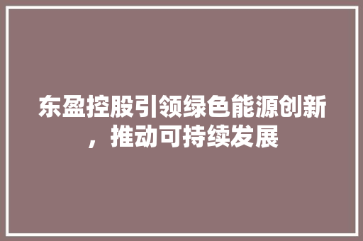 东盈控股引领绿色能源创新，推动可持续发展