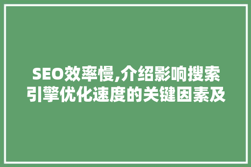 SEO效率慢,介绍影响搜索引擎优化速度的关键因素及提升步骤
