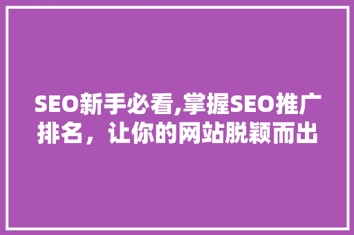 SEO新手必看,掌握SEO推广排名，让你的网站脱颖而出