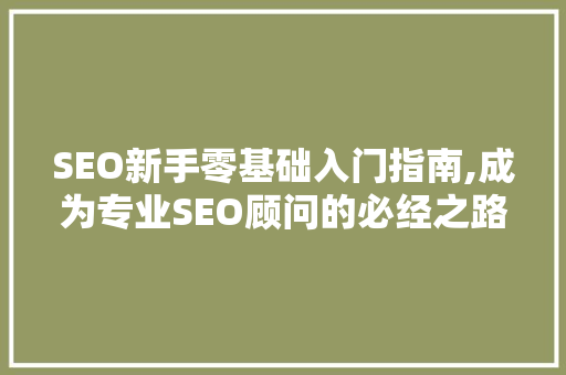 SEO新手零基础入门指南,成为专业SEO顾问的必经之路
