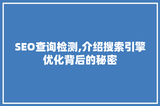 SEO查询检测,介绍搜索引擎优化背后的秘密