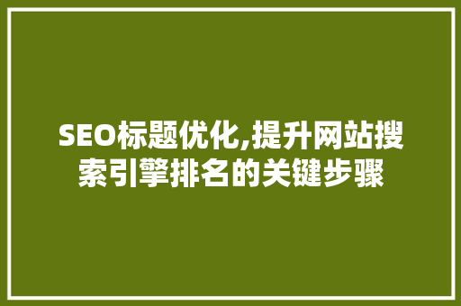SEO标题优化,提升网站搜索引擎排名的关键步骤