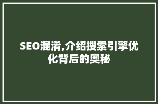 SEO混淆,介绍搜索引擎优化背后的奥秘