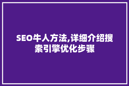 SEO牛人方法,详细介绍搜索引擎优化步骤
