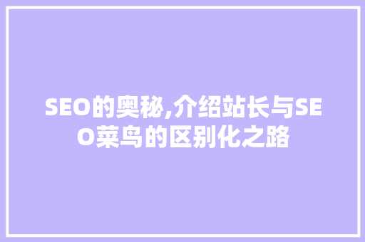 SEO的奥秘,介绍站长与SEO菜鸟的区别化之路