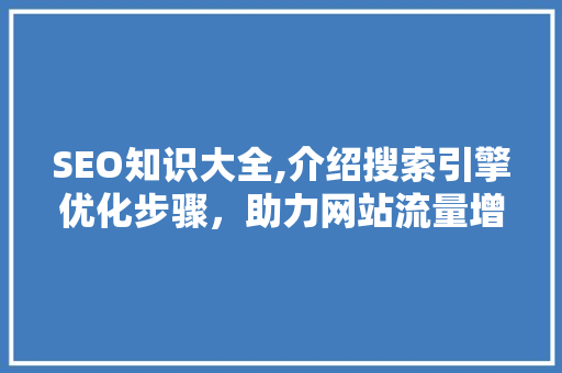 SEO知识大全,介绍搜索引擎优化步骤，助力网站流量增长