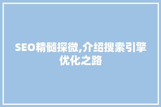 SEO精髓探微,介绍搜索引擎优化之路  第1张