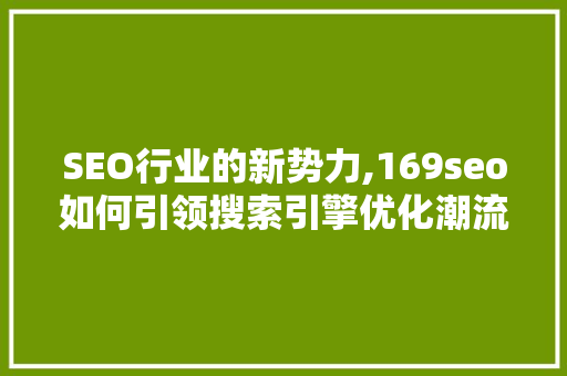 SEO行业的新势力,169seo如何引领搜索引擎优化潮流