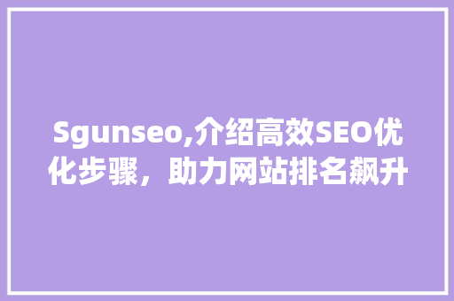 Sgunseo,介绍高效SEO优化步骤，助力网站排名飙升