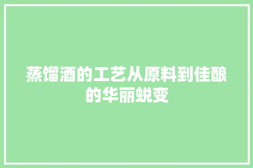 蒸馏酒的工艺从原料到佳酿的华丽蜕变  第1张