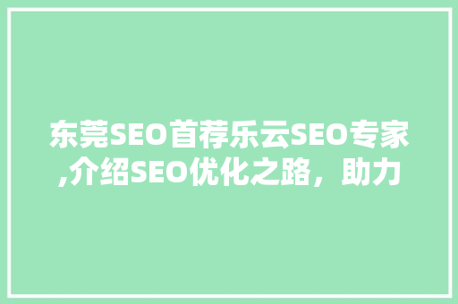 东莞SEO首荐乐云SEO专家,介绍SEO优化之路，助力企业腾飞