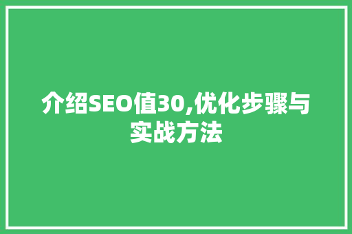 介绍SEO值30,优化步骤与实战方法