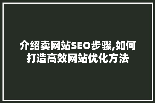 介绍卖网站SEO步骤,如何打造高效网站优化方法