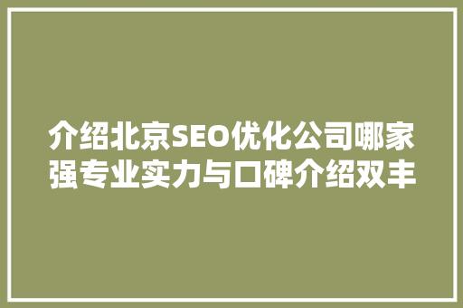 介绍北京SEO优化公司哪家强专业实力与口碑介绍双丰收