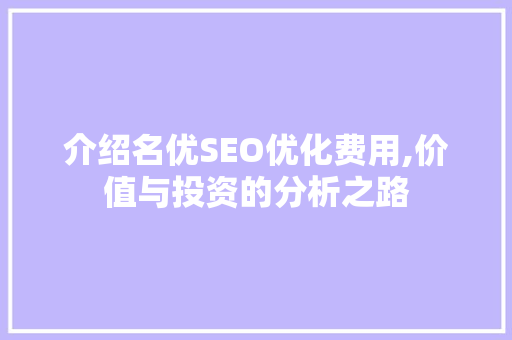 介绍名优SEO优化费用,价值与投资的分析之路