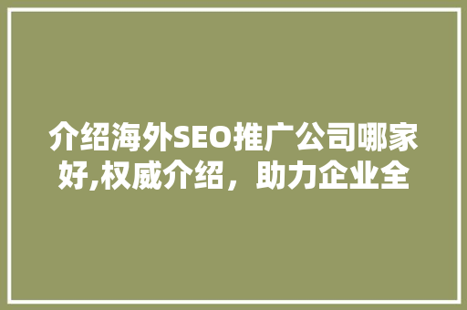 介绍海外SEO推广公司哪家好,权威介绍，助力企业全球化布局