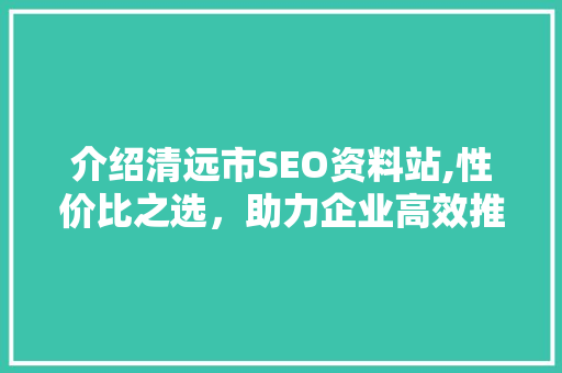 介绍清远市SEO资料站,性价比之选，助力企业高效推广
