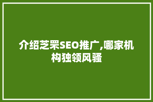 介绍芝罘SEO推广,哪家机构独领风骚