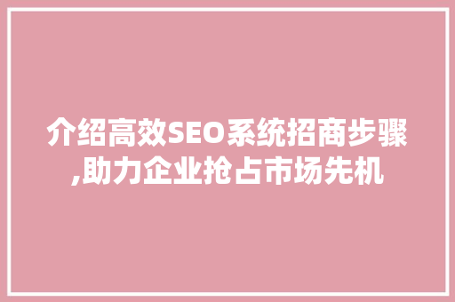 介绍高效SEO系统招商步骤,助力企业抢占市场先机