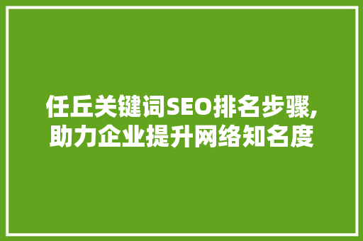 任丘关键词SEO排名步骤,助力企业提升网络知名度