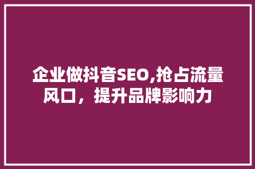 企业做抖音SEO,抢占流量风口，提升品牌影响力