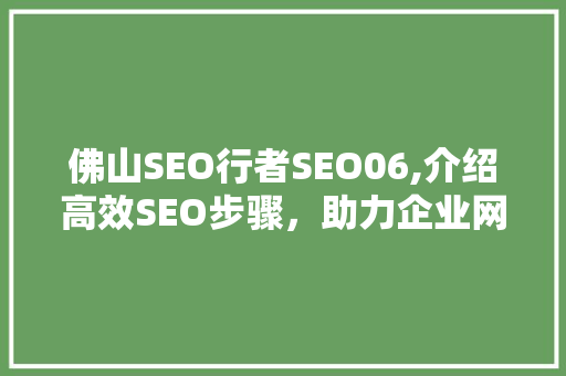 佛山SEO行者SEO06,介绍高效SEO步骤，助力企业网络营销腾飞  第1张