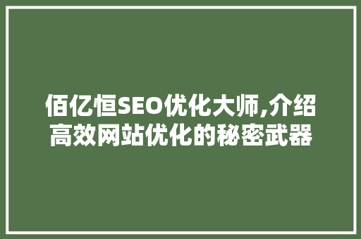 佰亿恒SEO优化大师,介绍高效网站优化的秘密武器