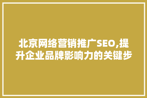 北京网络营销推广SEO,提升企业品牌影响力的关键步骤