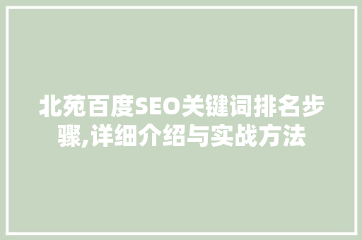 北苑百度SEO关键词排名步骤,详细介绍与实战方法