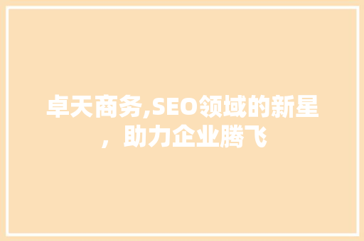 卓天商务,SEO领域的新星，助力企业腾飞