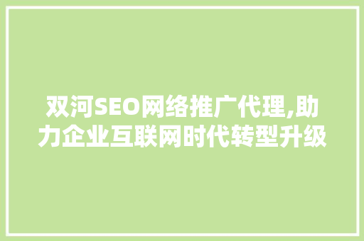 双河SEO网络推广代理,助力企业互联网时代转型升级