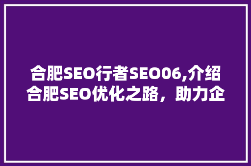 合肥SEO行者SEO06,介绍合肥SEO优化之路，助力企业腾飞